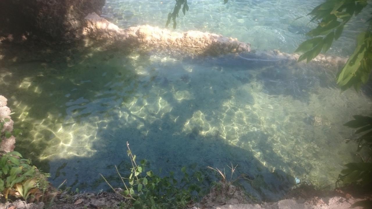 Wasini Island Bandas Exteriér fotografie